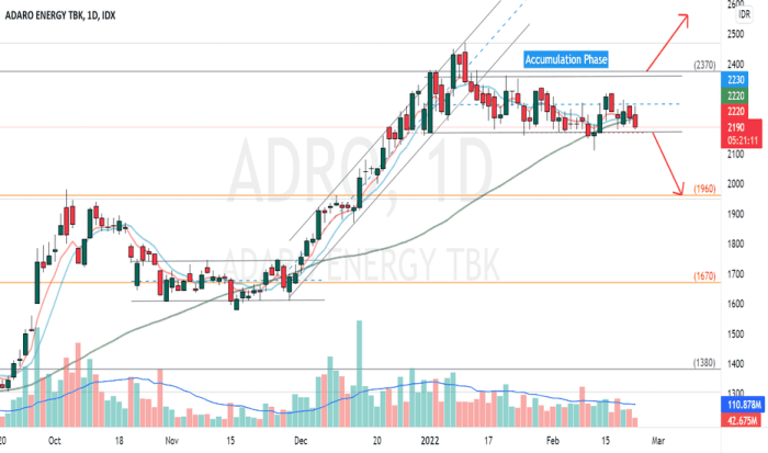 Saham ADRO Bisa Naik Sampai Level Ini